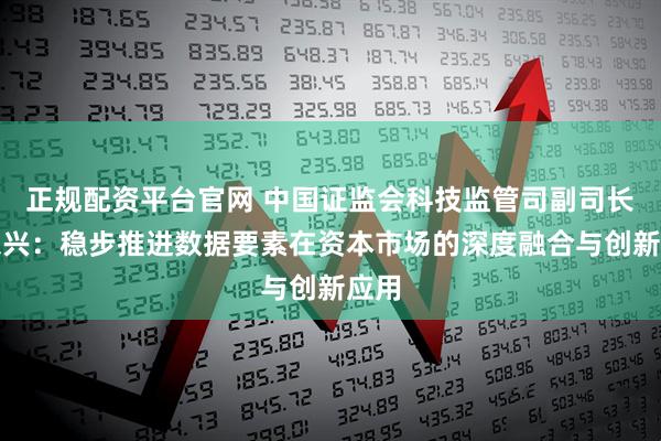 正规配资平台官网 中国证监会科技监管司副司长蒋东兴：稳步推进数据要素在资本市场的深度融合与创新应用