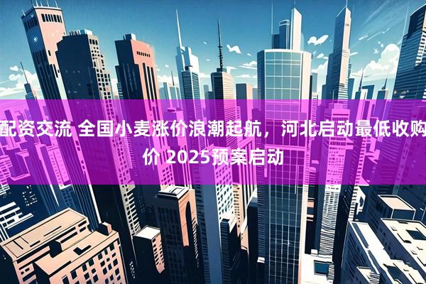 配资交流 全国小麦涨价浪潮起航，河北启动最低收购价 2025预案启动