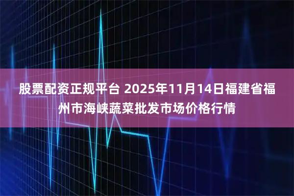 股票配资正规平台 2025年11月14日福建省福州市海峡蔬菜批发市场价格行情