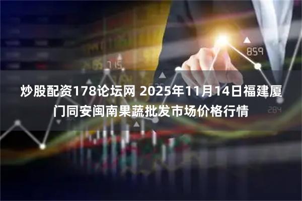 炒股配资178论坛网 2025年11月14日福建厦门同安闽南果蔬批发市场价格行情